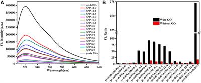 Detection of Single Nucleotide Polymorphisms by Fluorescence Embedded Dye SYBR Green I Based on Graphene Oxide